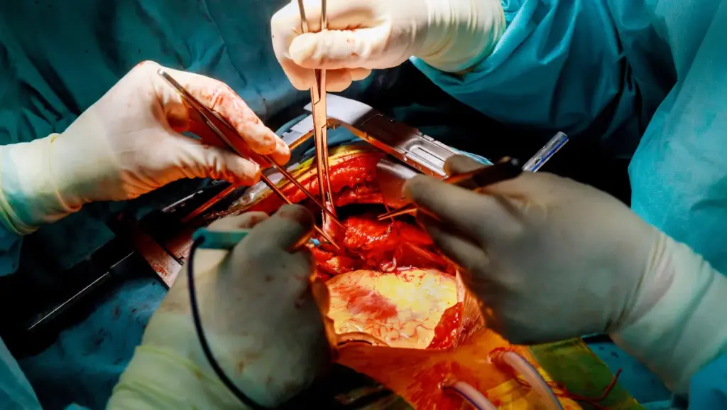 Cardiology & Cardiothoracic Surgery