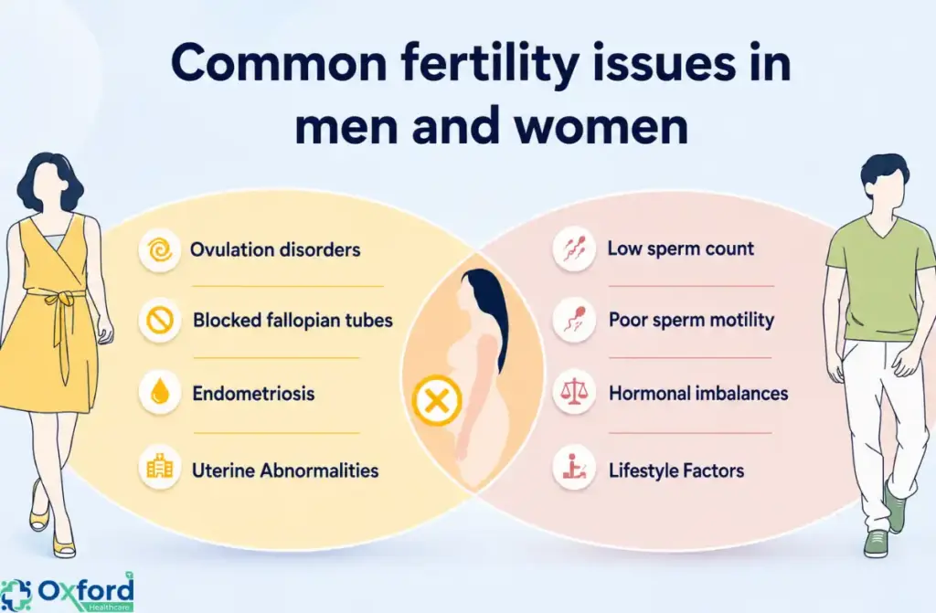 Fertility Test for Women