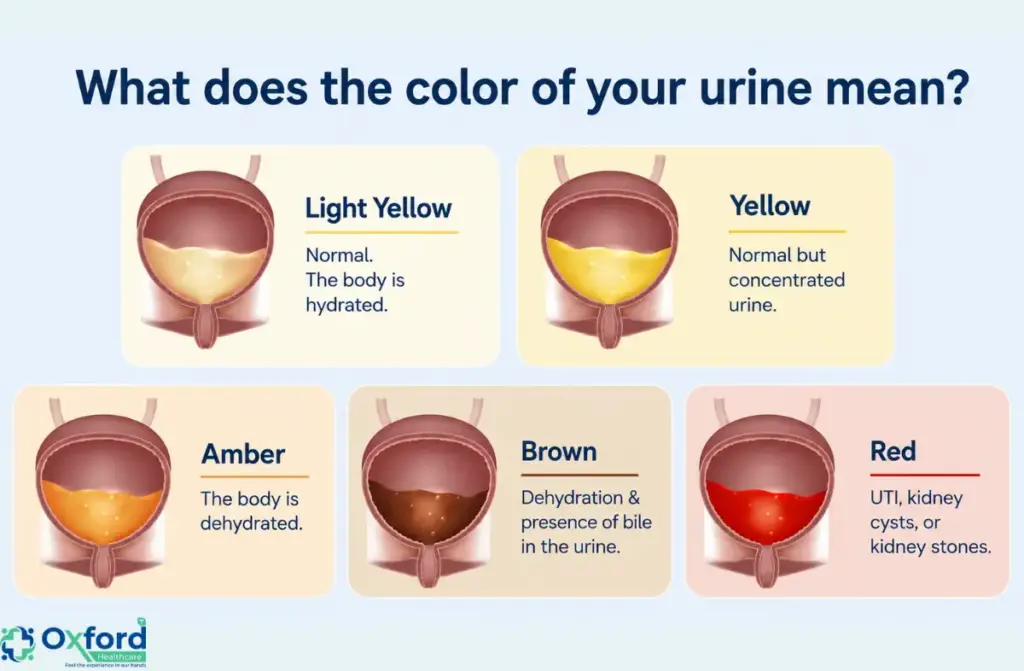 blood in urine